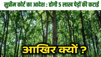 सुप्रीम कोर्ट का आदेश : होगी 5 लाख पेड़ों की कटाई | आखिर क्यों ?