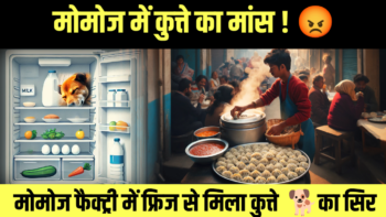 मोमोज में कुत्ते का मांस ! 😡